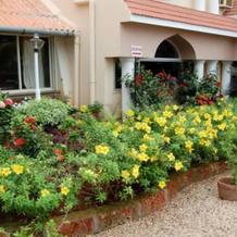 Sea Shell Resort, Murud — photo 4