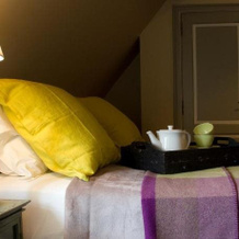 Hotel Het Oud Gemeentehuis, 达默 — 照片 2
