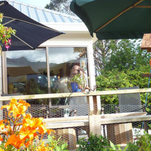 Ropatinis Homestay Bed  Breakfast, 福克斯冰川 — 照片 5