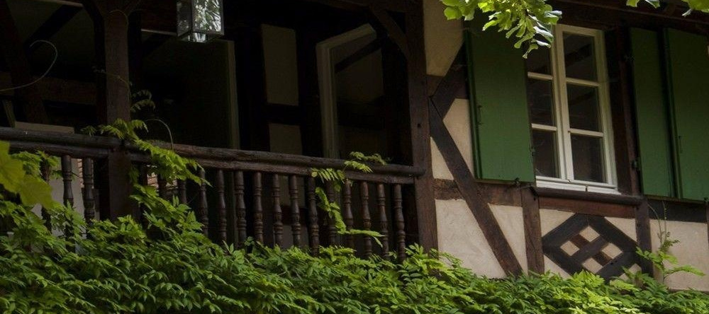Unter der Linde, Nordheim — photo 1