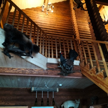 Guest house Myshkin Dvor Barabanovy, Myshkin — photo 3