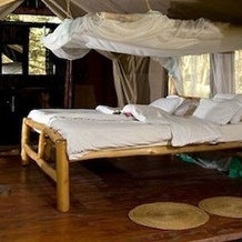 Migunga Forest Camp, 米贡加尼 — 照片 3