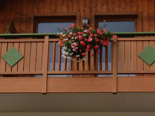 Hotel Pineta, Fiave — photo 1