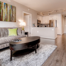 Bluebird Suites in Reston, Reston — photo 5