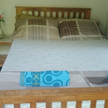 Bohol 3 Bedroom Villa, 坎迪贾伊 — 照片 5