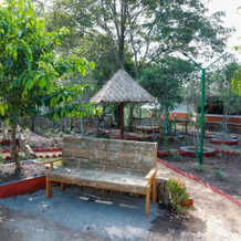 Arippa Eco Tourism-Stay Inside Forest, Punalur — photo 5