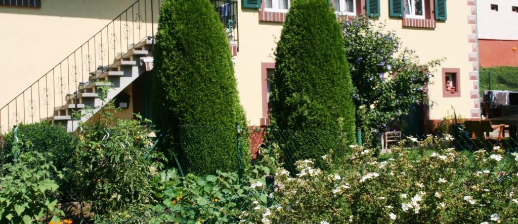 Dani`s Ferienwohnung, Freiamt — photo 1