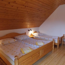 Turistična kmetija Pri Andreju, 博希尼镇 — 照片 2