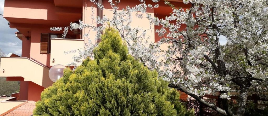 Notti Rosa B&B, 梅尔菲 — 照片 1