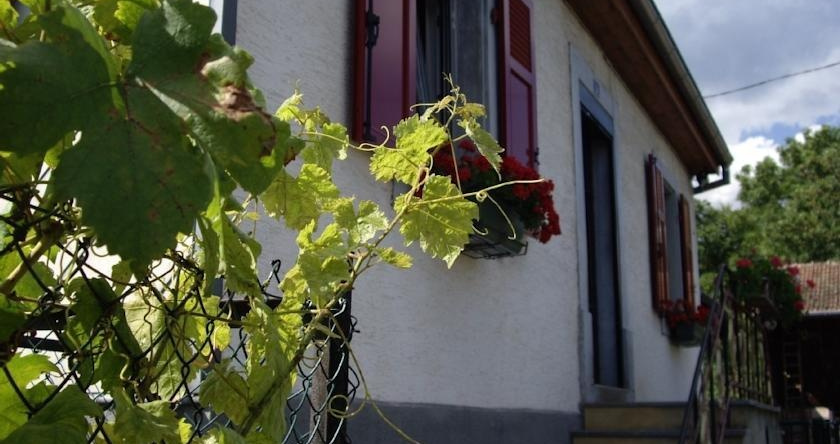 Gîte Chez Anna, Вюнайм — фото 1
