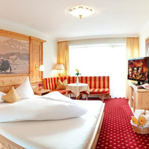 Hotel Alpina Wellness & Spa Resort, Кёссен — фото 4