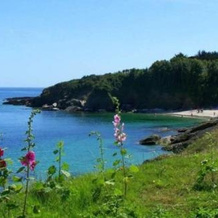La Breizh'îlienne, 格鲁阿 — 照片 2