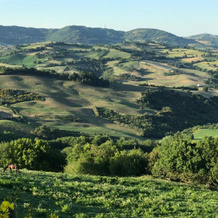 Agriturismo "Le Cannelle" Spa & Day Wellness, Фоссомброне — фото 2