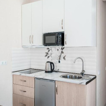 Double Mountain View Appartment New Gudauri Twins, Гудаури — фото 2