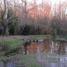 Les Faures Sud, Genissac — photo 5