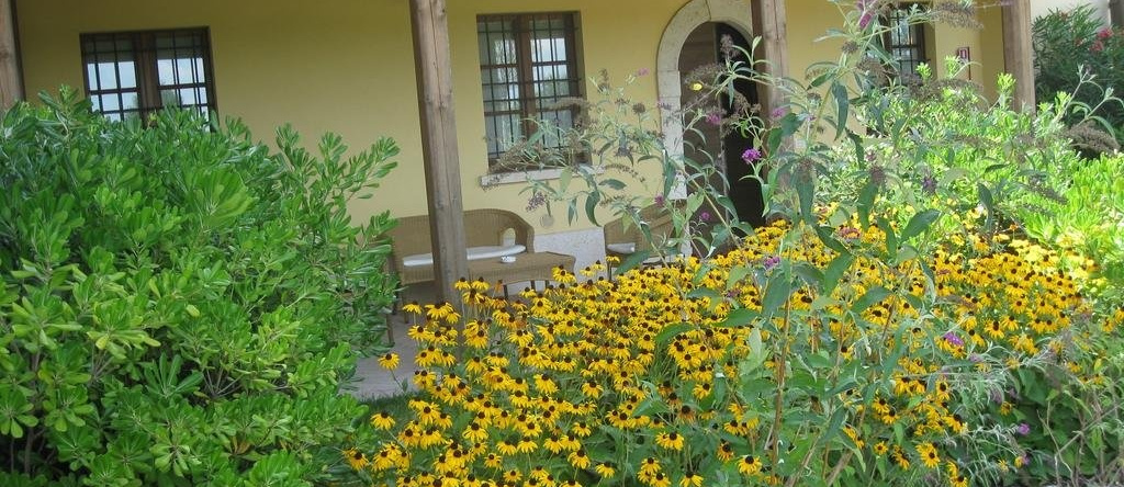 Agriturismo Corte Arcadia, 代森扎诺-德尔加达 — 照片 1