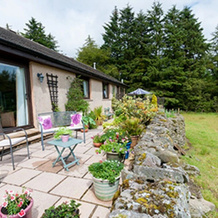 Torbeckhill B&B, Lockerbie — photo 5