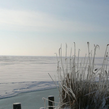 Cheerful Apartment in Wilhelmshof Usedom near Baltic Sea, 乌瑟多姆 — 照片 5