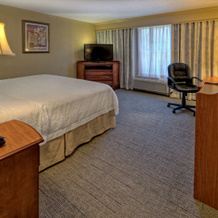 Hampton Inn Manning, Маннинг — фото 3