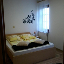 Apartment Panda, Доленьске Топлице — фото 3