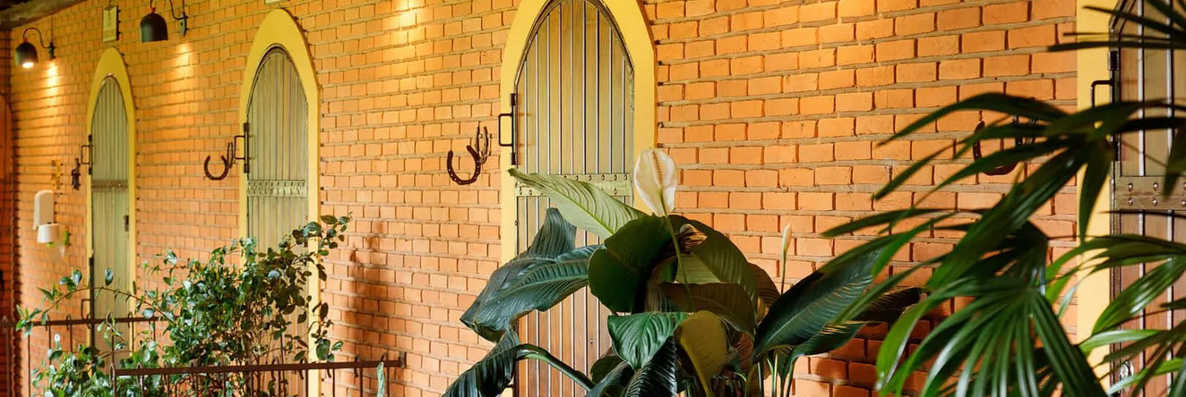 Hotel Fazenda Recanto Shangri-lá, 布罗塔斯 — 照片 1
