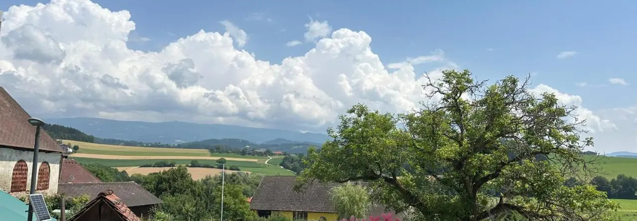 Gasthof Winkelwirt, Альтофен — фото 1