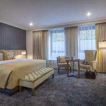 Castletroy Park Hotel Suites, Лимерик — фото 4