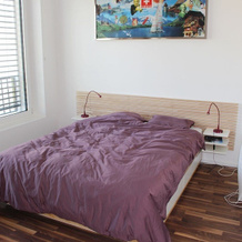 Superb Loft In The Center Of Lausanne, 沙瓦讷-普雷勒南 — 照片 3