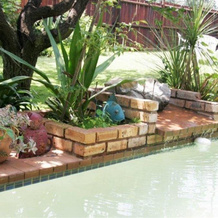 Midrand Wild Goose B&B & Conference Venue, Midrand — photo 4