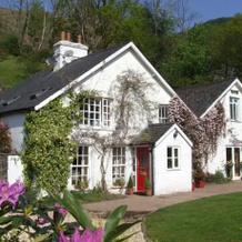 Ty Derw Country House, 马汉莱斯 — 照片 5