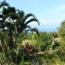The Rainbow Plantation Bed and Breakfast, 库克船长 — 照片 3