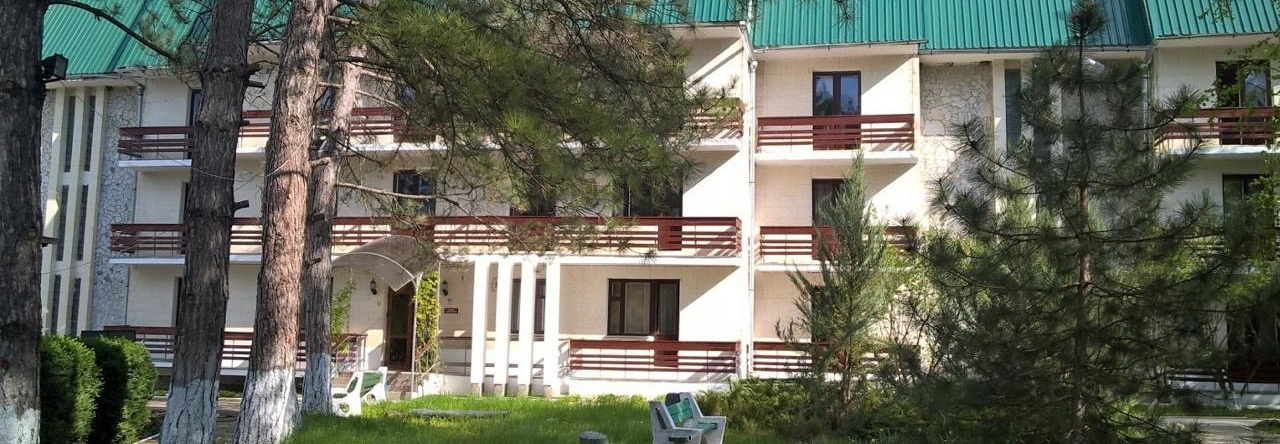 Orliny Zalet Guest House, 索科利诺耶 — 照片 1