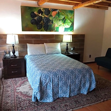 Hotel Frutos del Bosque, 萨卡特兰 — 照片 5