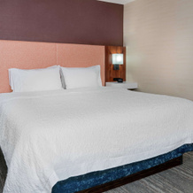 Hampton Inn Springfield South Enfield, Энфилд — фото 2