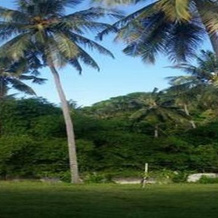 Villa Mantika, Desa Batu Layar — photo 4