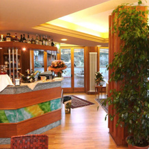HG Hotel Italia, 布鲁松 — 照片 3