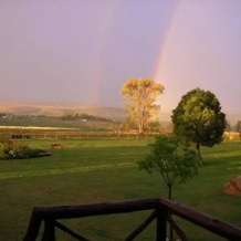 Blue Roan Country Lodge, Махалисберг — фото 5