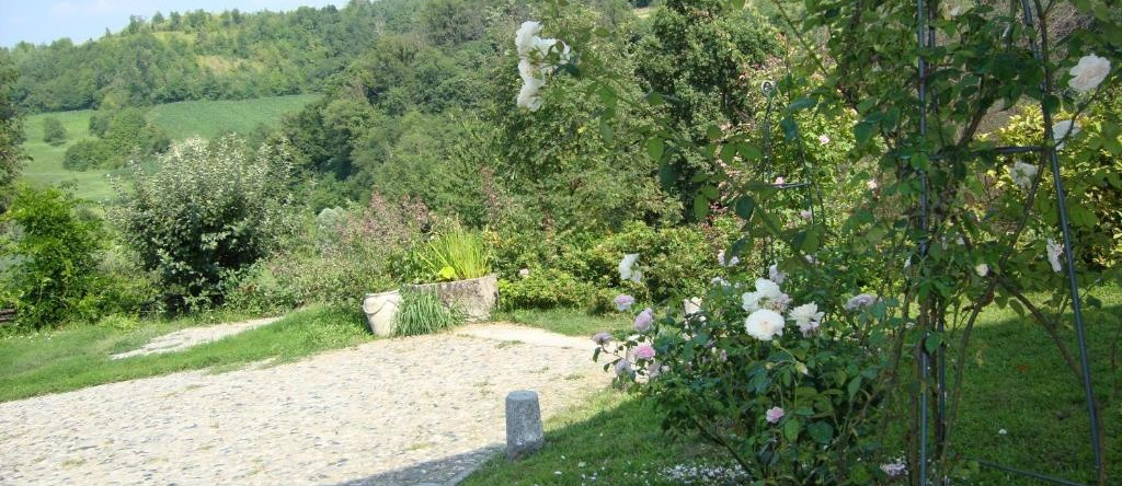 Cascina nel bosco, 马伦蒂诺 — 照片 1