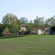 Tenuta Scacciavolpe, 科莱萨尔韦蒂 — 照片 3