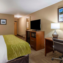 Comfort Inn Collinsville near St. Louis, Collinsville — photo 3