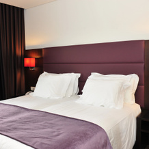 Axis Porto Business & Spa Hotel, Матозиньюш — фото 3