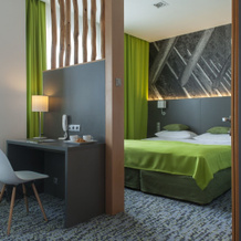 Hotel Villa Park Med & Spa, 切霍齐内克 — 照片 3