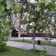 Дружба, Жуковский — фото 2