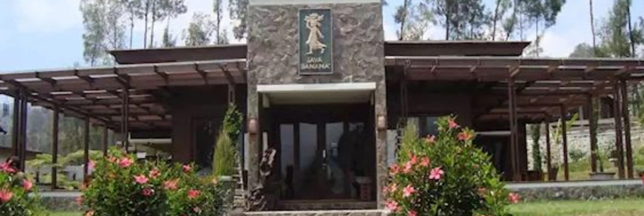 Java Banana Lodge Bromo, 恩加迪萨里 — 照片 1