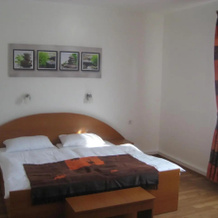 Bliestal Hotel, 布利斯卡斯特尔 — 照片 4
