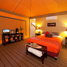Squeakywindmill Boutique Tent B&B, 艾丽斯斯普林斯 — 照片 3