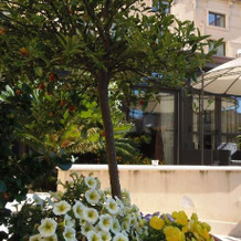 Hotel Residence Villa Cibele, 特雷梅斯蒂耶里埃特内奥 — 照片 5