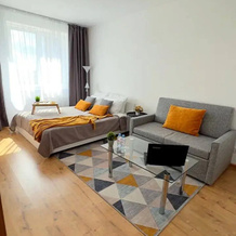 Komfort dlja prozhivanija v komandirovke i otdyha s parkovkoj u doma Apartments, Kolpino — photo 2