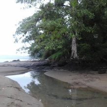Las Brisas Tours y Cabinas, 德雷克湾 — 照片 4