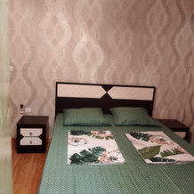 Guest House on Rechnaya 14G, 勒德扎 — 照片 4